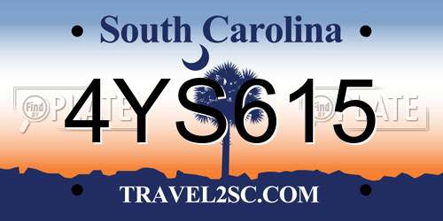 4YS615 South Carolina License Plate