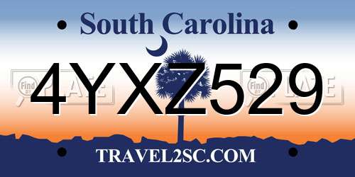 4YXZ529 South Carolina License Plate