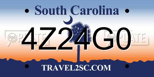 4Z24G0 South Carolina License Plate