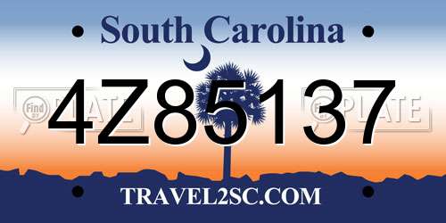 4Z85137 South Carolina License Plate