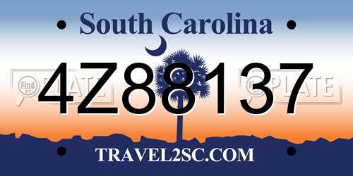 4Z88137 South Carolina License Plate