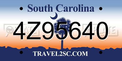 4Z95640 South Carolina License Plate