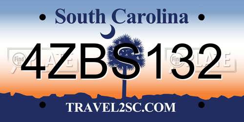 4ZBS132 South Carolina License Plate