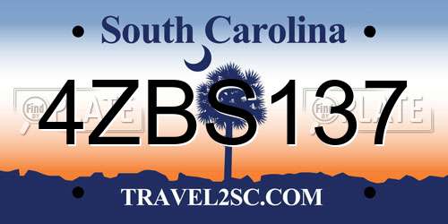 4ZBS137 South Carolina License Plate