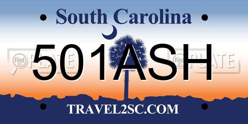 501ASH South Carolina License Plate