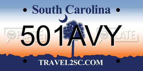 501AVY South Carolina License Plate