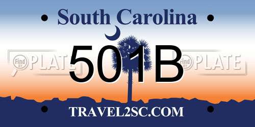 501B South Carolina License Plate