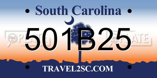 501B25 South Carolina License Plate