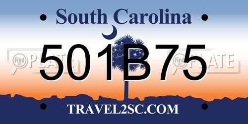 501B75 South Carolina License Plate