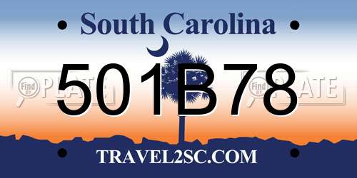 501B78 South Carolina License Plate