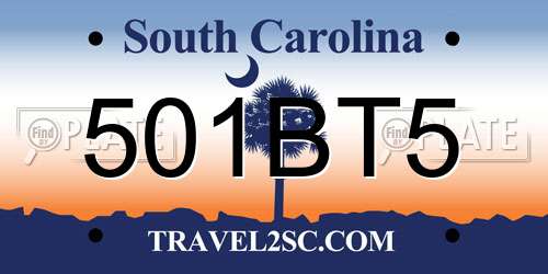 501BT5 South Carolina License Plate