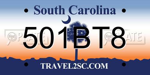 501BT8 South Carolina License Plate