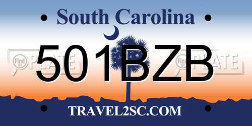 501BZB South Carolina License Plate