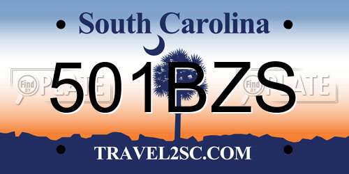501BZS South Carolina License Plate
