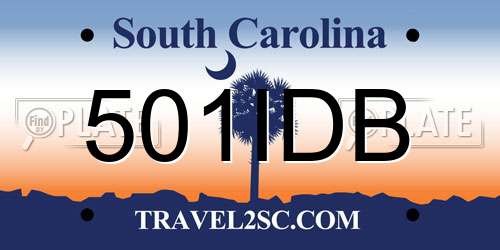501IDB South Carolina License Plate