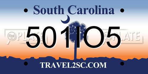 501IO5 South Carolina License Plate