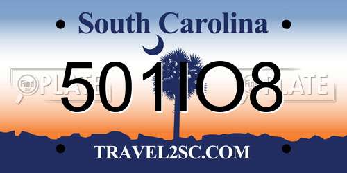 501IO8 South Carolina License Plate