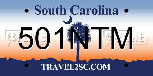 501NTM South Carolina License Plate