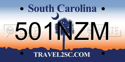 501NZM South Carolina License Plate