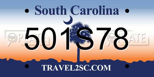 501S78 South Carolina License Plate