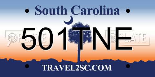 501TNE South Carolina License Plate