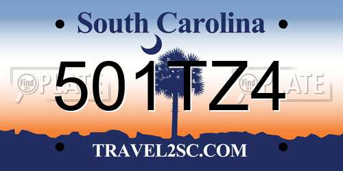 501TZ4 South Carolina License Plate