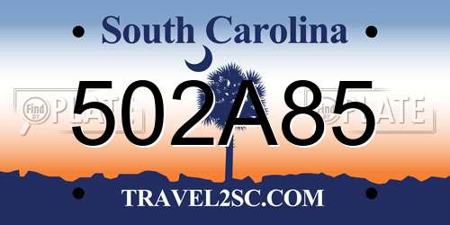 502A85 South Carolina License Plate