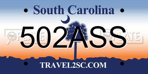 502ASS South Carolina License Plate