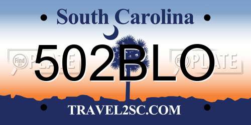 502BLO South Carolina License Plate