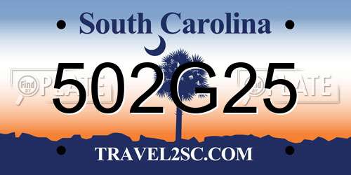 502G25 South Carolina License Plate