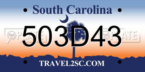 503D43 South Carolina License Plate