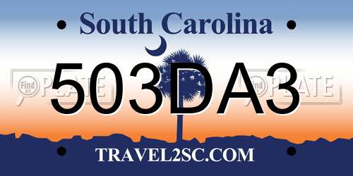 503DA3 South Carolina License Plate