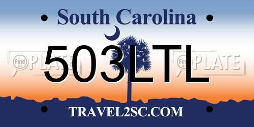 503LTL South Carolina License Plate