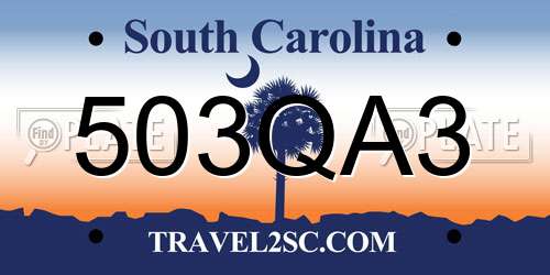 503QA3 South Carolina License Plate