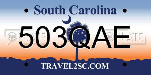 503QAE South Carolina License Plate