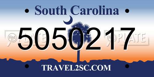 5050217 South Carolina License Plate