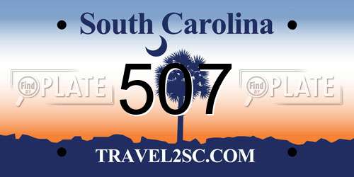 507 South Carolina License Plate
