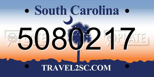 5080217 South Carolina License Plate