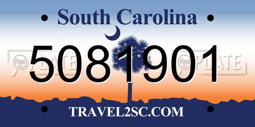5081901 South Carolina License Plate