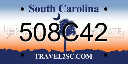 508C42 South Carolina License Plate