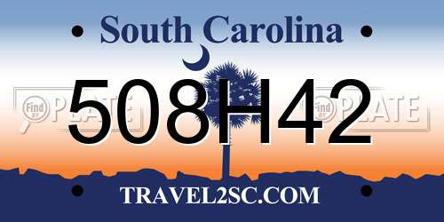508H42 South Carolina License Plate