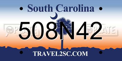 508N42 South Carolina License Plate