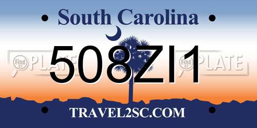 508ZI1 South Carolina License Plate