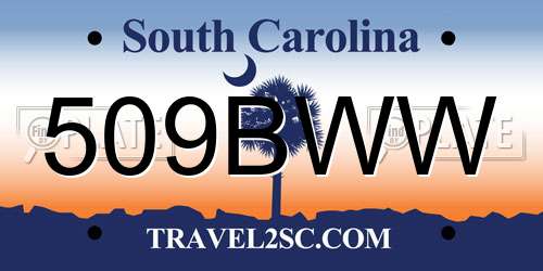 509BWW South Carolina License Plate
