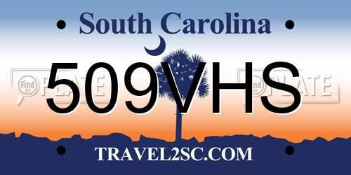 509VHS South Carolina License Plate