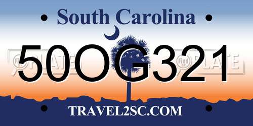 50OG321 South Carolina License Plate