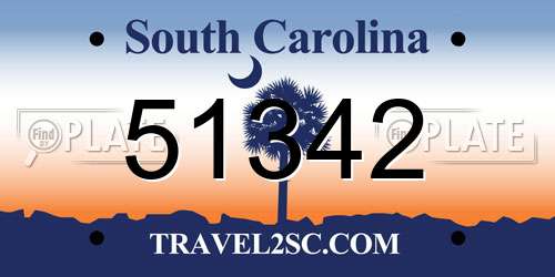 51342 South Carolina License Plate