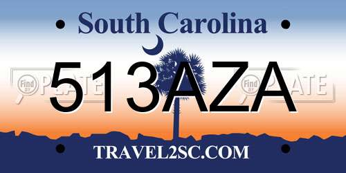 513AZA South Carolina License Plate