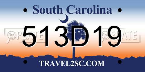 513D19 South Carolina License Plate