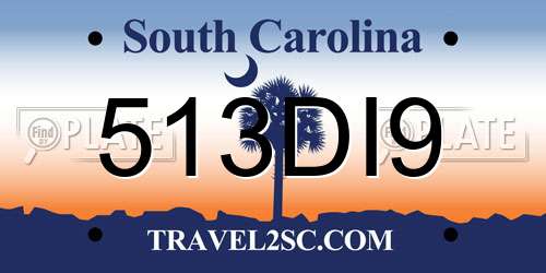 513DI9 South Carolina License Plate